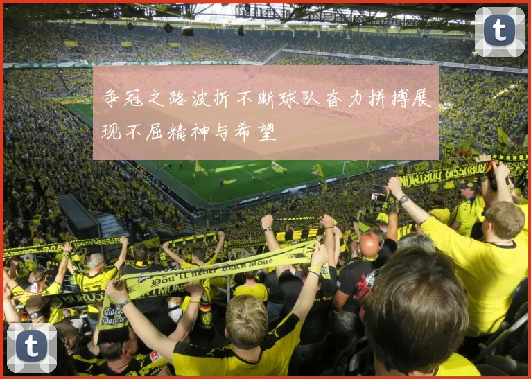 争冠之路波折不断球队奋力拼搏展现不屈精神与希望