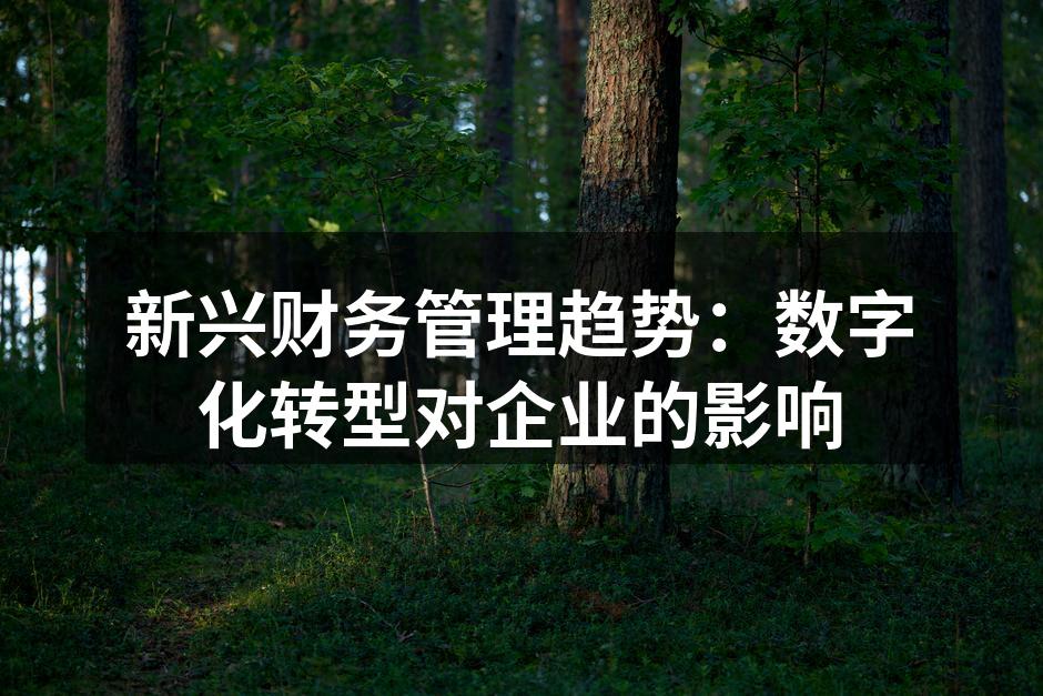 新兴财务管理趋势：数字化转型对企业的影响