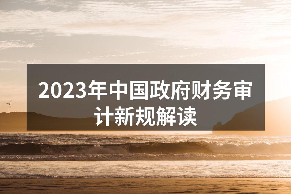 2023年中国政府财务审计新规解读